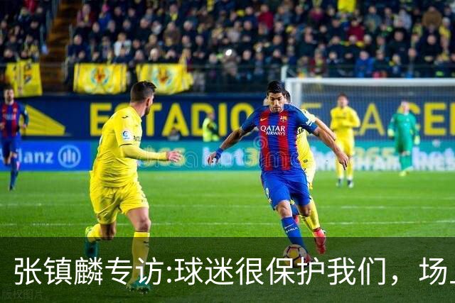 张镇麟专访:球迷很保护我们，场上为我们呐喊，场下跟黑子对线！